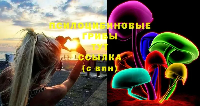 где найти наркотики  Иннополис  Галлюциногенные грибы Cubensis 